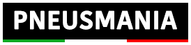 Logo di Pneusmania Srl